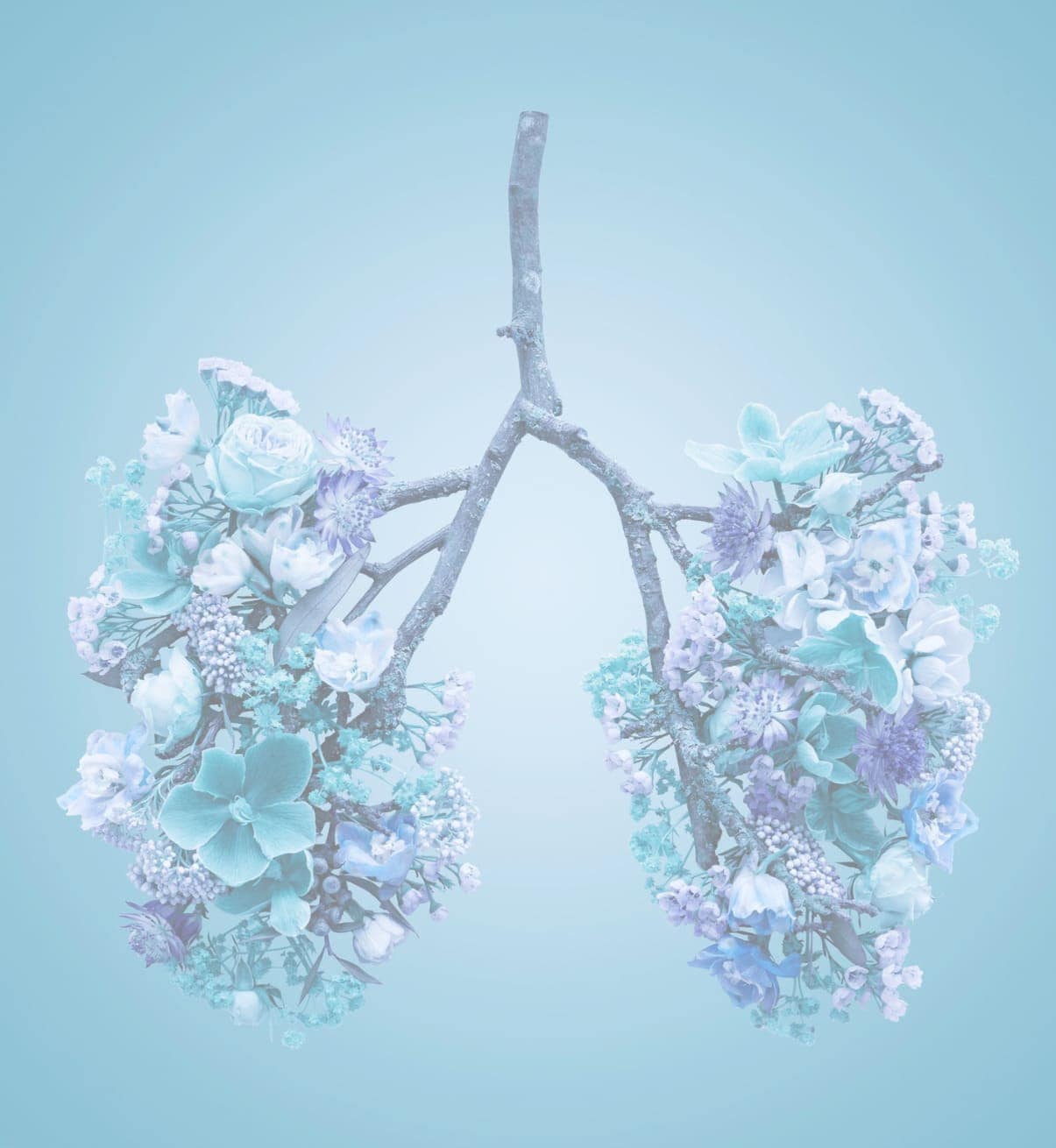 Breathe Well Workshop, Tue, 29th Sept 2026 - Inverness
